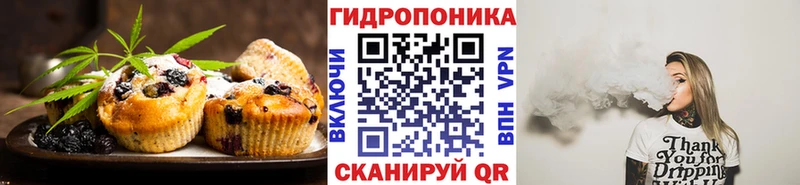 где можно купить   Оха  Canna-Cookies конопля 