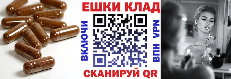 Ecstasy Cube  OMG сайт  Оха 