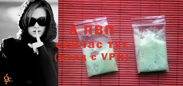 прущие грибы Белокуриха