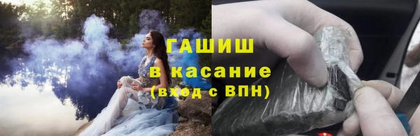 прущие грибы Белокуриха