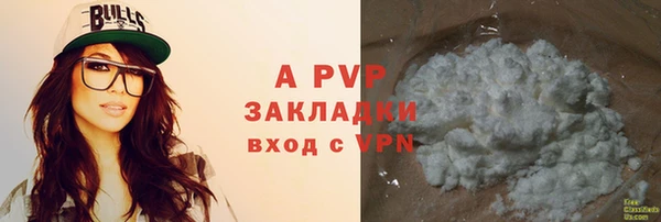 прущие грибы Белокуриха