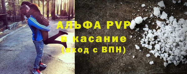 прущие грибы Белокуриха