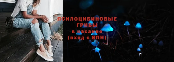 прущие грибы Белокуриха