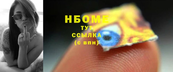 прущие грибы Белокуриха