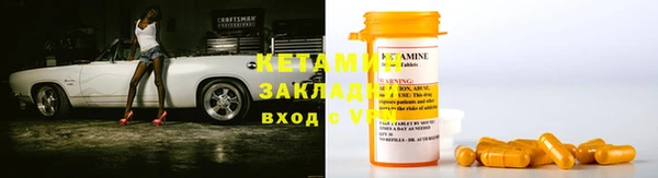 прущие грибы Белокуриха